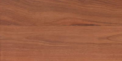 Mandorlo_3