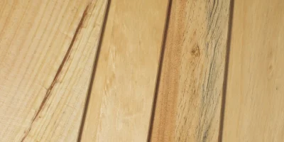 Pino-Marittimo _Muster