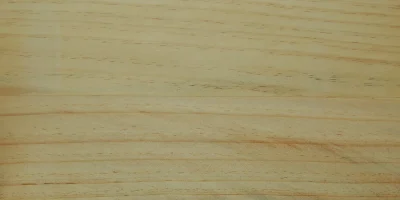 Pino-Marittimo_Muster_1