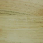 Pino-Marittimo_Muster_2