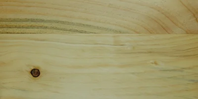 Pino-Marittimo_Muster_2