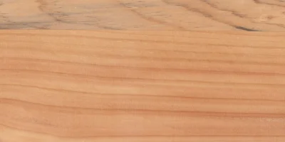 Pino_2