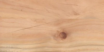 Pino_3