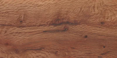 Sughero_1